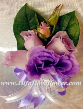 淺紫玫, 紫桔梗