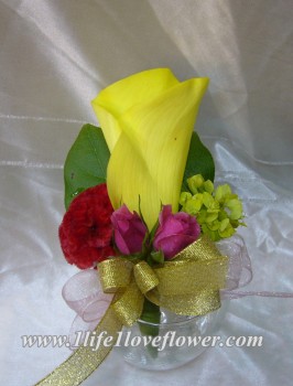 荷蘭馬蹄蘭, 多頭玫, 台灣雞冠, 葉上黃金