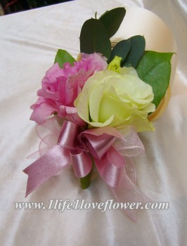 粉桔梗, 綠桔梗