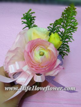 荷蘭小牡丹, 只限春天冬天