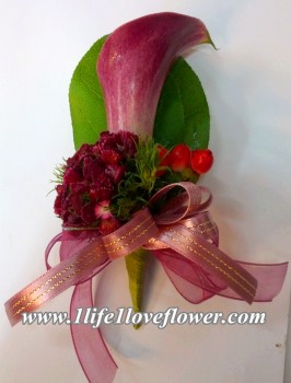 馬蹄蘭, 石竹梅, 紅豆