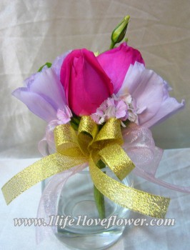 淺紫桔梗, 桃玫