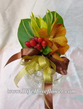 泰國胡姬,綠色木百合, 紅豆