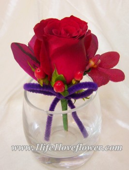 紅玫, 泰國胡姬