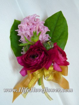 荷蘭風信子, 小牡丹, 小牡丹只限冬天春天