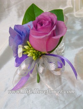 紫玫, 荷蘭綉球