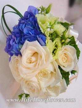 米玫, 荷蘭綉球, 綠桔梗