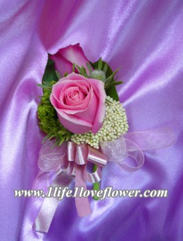 馬利亞玫瑰, 紫玫, 米花