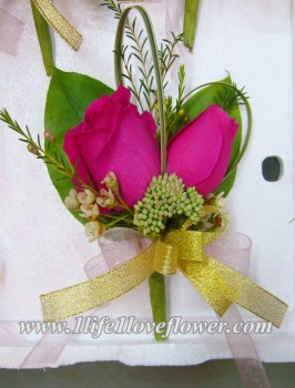 桃玫, 家樂, 立梅