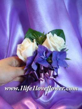 米玫, 荷蘭綉球