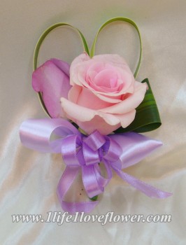 安妮玫瑰, 紫玫