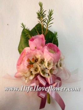 立梅, 荷蘭小牡丹, 只限春天冬天