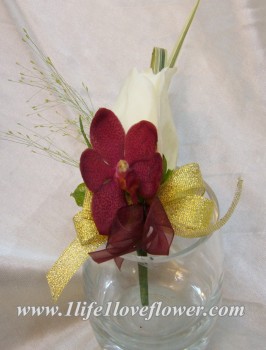 白玫瑰, 泰國胡姬