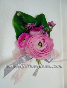 荷蘭小牡丹, 立梅, 只限春天冬天