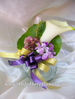 馬蹄蘭, 石竹梅, 家樂花