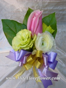 馬利亞玫瑰, 桔梗