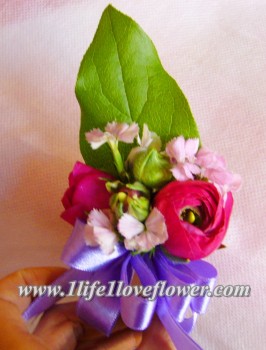 荷蘭小牡丹, 美女英