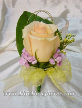 米玫, 美女英, 黃彩星