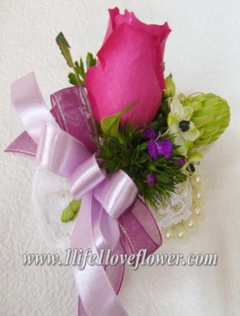 桃玫, 雀梅, 美女英